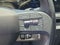 2026 Kia EV9 Light
