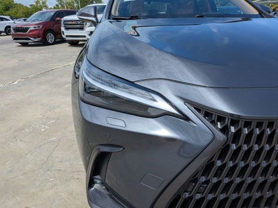 2024 Lexus NX 350h Luxury