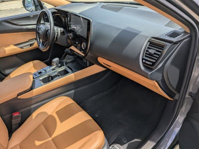 2024 Lexus NX 350h Luxury