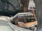 2024 Lexus NX 350h Luxury
