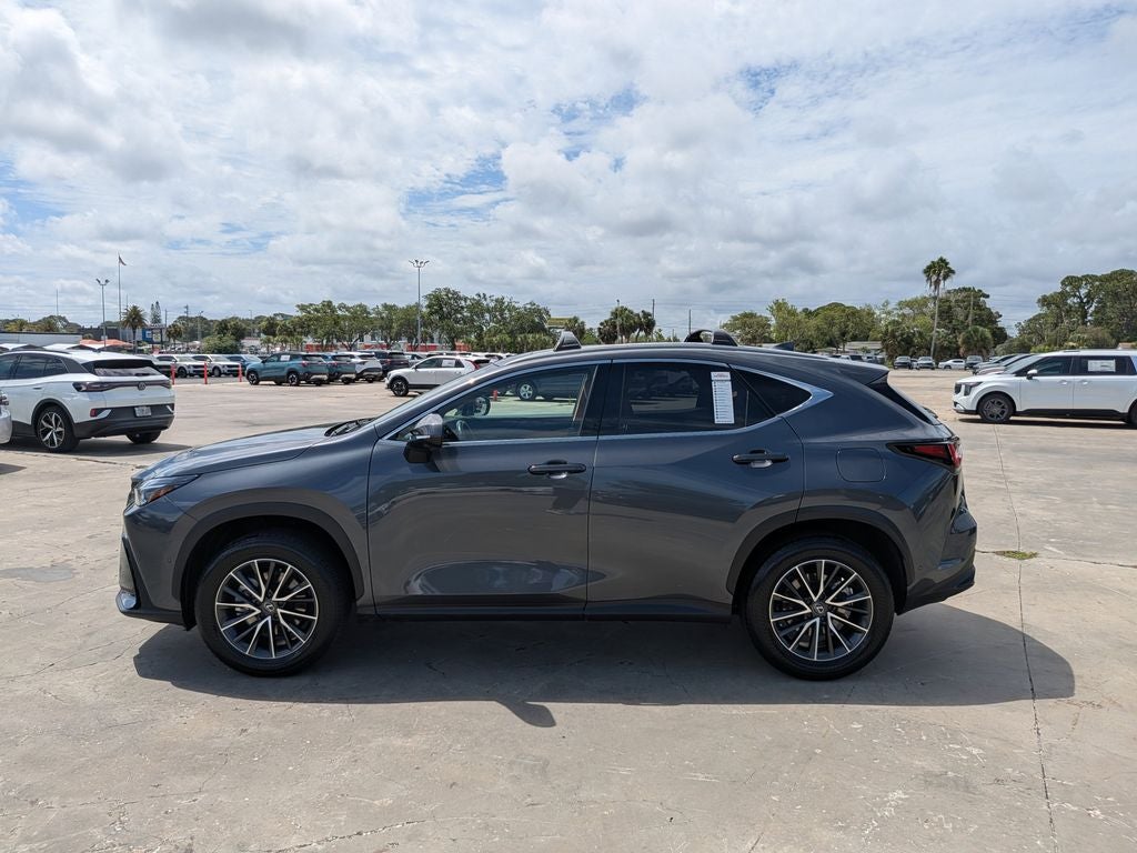 2024 Lexus NX 350h Luxury